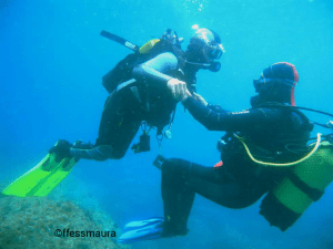 Plongée sous-marine